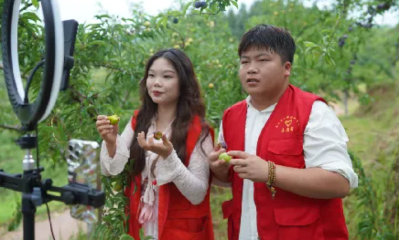 微信图片_2026-10-07_150141_834.png